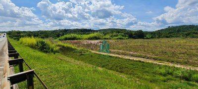 Terreno, 5 hectares - Foto 4