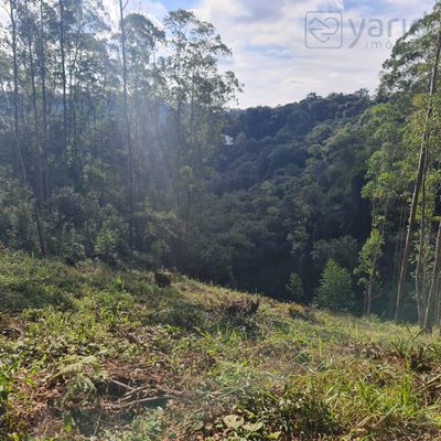 Terreno, 700 m² - Foto 3