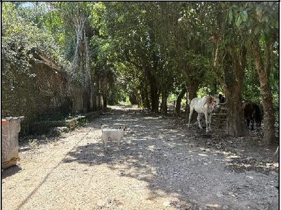 Terreno, 50 m² - Foto 2