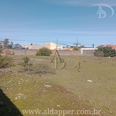 Terreno, 3500 m² - Foto 5
