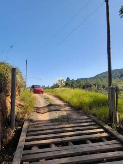 Fazenda, 34 hectares - Foto 4