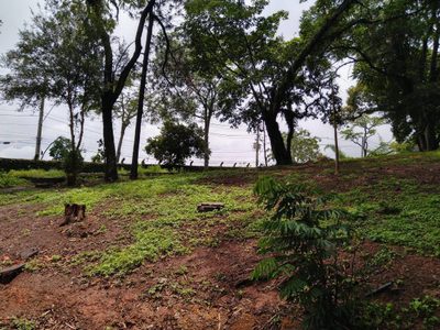 Terreno, 5000 m² - Foto 4