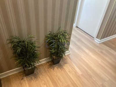 Sala-Conjunto, 42 m² - Foto 4