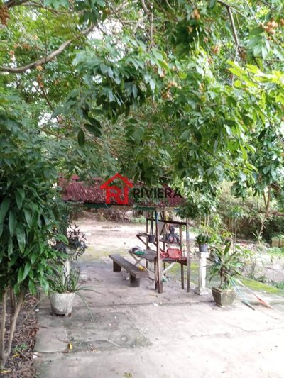 Terreno, 3000 m² - Foto 4