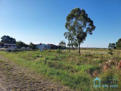 Terreno, 10000 m² - Foto 5