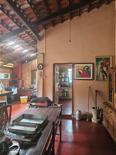 Chácara, 4 quartos, 2 hectares - Foto 3