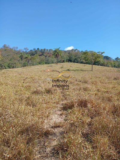 Terreno, 2 hectares - Foto 2