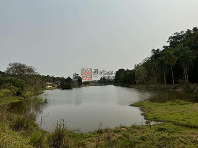 Fazenda, 24 hectares - Foto 5