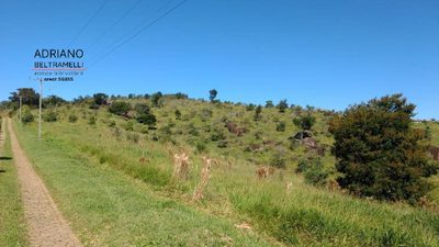 Terreno, 2 hectares - Foto 2