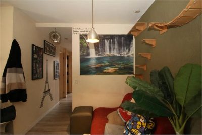 Apartamento, 3 quartos, 65 m² - Foto 5