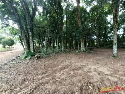 Chácara, 4 hectares - Foto 2
