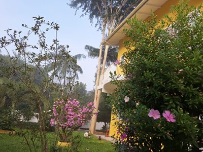Casa, 5 quartos - Foto 3