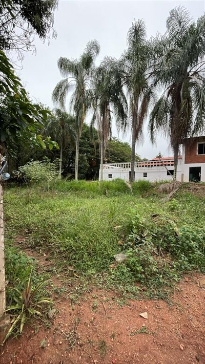 Terreno, 1000 m² - Foto 4