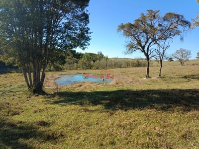 Sítio, 3 quartos, 7 hectares - Foto 1