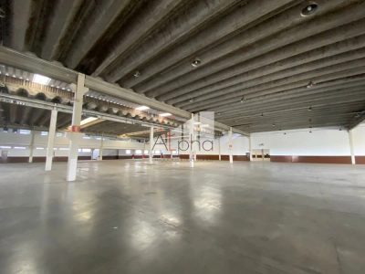 Depósito-Galpão, 12769 m² - Foto 4