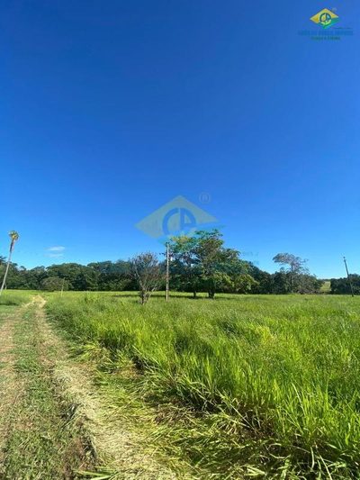 Fazenda, 3 quartos - Foto 2