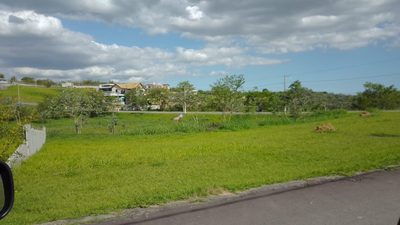 Terreno, 1000 m² - Foto 2
