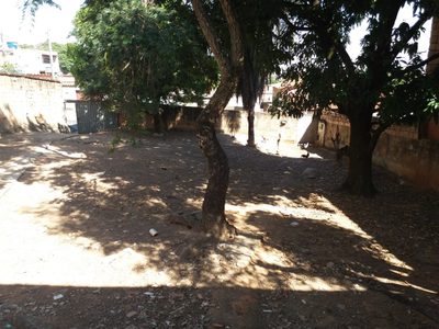 Terreno, 525 m² - Foto 5