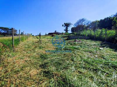 Terreno, 1000 m² - Foto 3