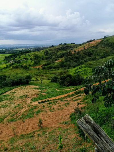 Terreno, 2 hectares - Foto 1