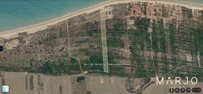 Terreno, 8 hectares - Foto 4