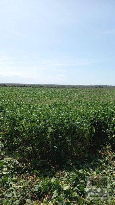 Fazenda, 17500 hectares - Foto 4