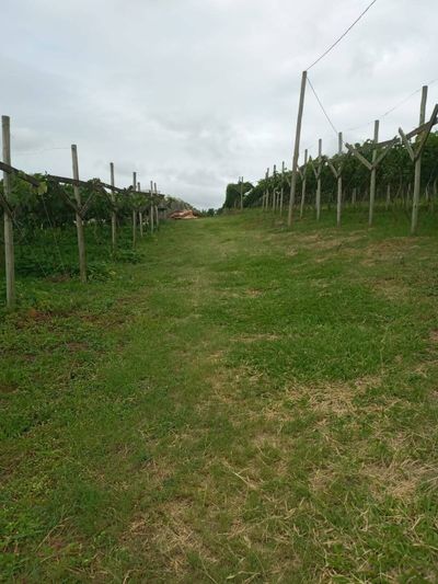 Prédio Inteiro, 13000 m² - Foto 5