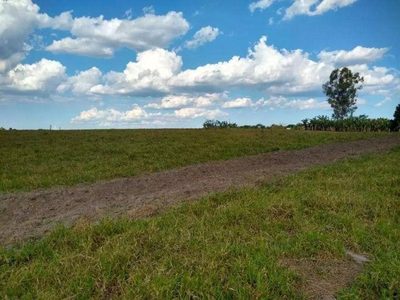 Terreno, 24 hectares - Foto 1