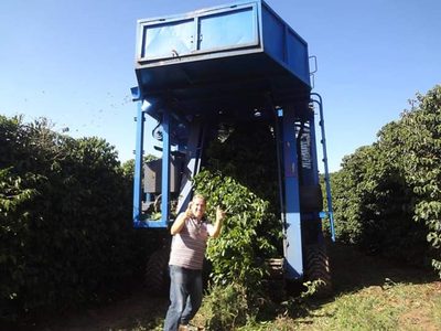 Fazenda, 10000 m² - Foto 2
