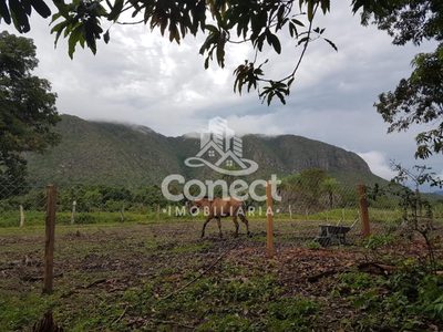 Fazenda, 1031 m² - Foto 3