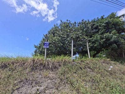 Terreno - Foto 1