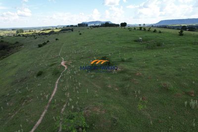 Fazenda, 211 hectares - Foto 2
