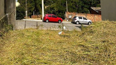 Terreno, 250 m² - Foto 3