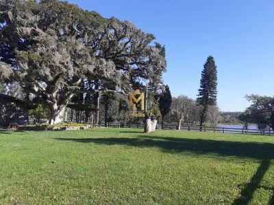 Fazenda, 44 hectares - Foto 3