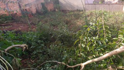 Terreno, 420 m² - Foto 4