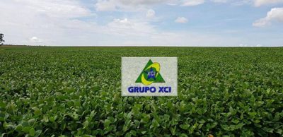 Fazenda, 13072 hectares - Foto 4