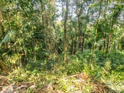 Terreno, 5339 m² - Foto 4