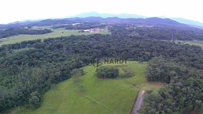 Terreno, 6 hectares - Foto 4
