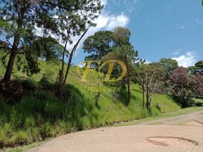 Terreno, 2 hectares - Foto 4
