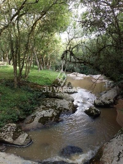 Sítio, 5 quartos, 7 hectares - Foto 4