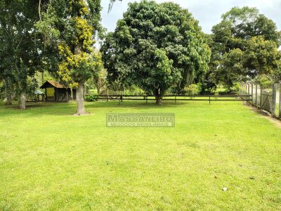 Chácara, 3 quartos, 3 hectares - Foto 2