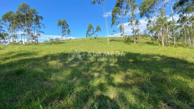 Terreno, 9 hectares - Foto 1