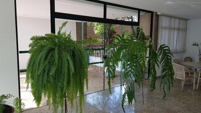 Apartamento, 3 quartos, 113 m² - Foto 5