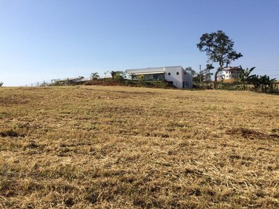 Terreno, 2000 m² - Foto 4