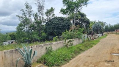 Terreno, 2500 m² - Foto 3