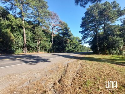Terreno, 3 hectares - Foto 3