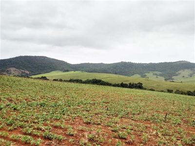 Fazenda, 427 hectares - Foto 5