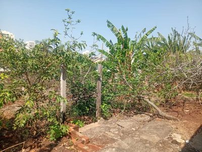 Terreno, 1320 m² - Foto 5
