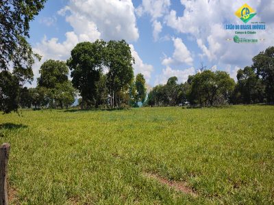 Fazenda, 1 quarto - Foto 2