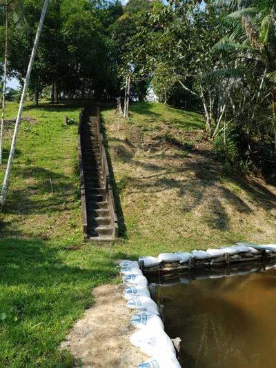 Chácara, 4 quartos, 1 hectares - Foto 5